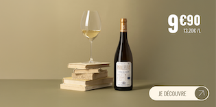 MEGA MENU FR PAUL JABOULET PARALLELE 45 BLANC.png